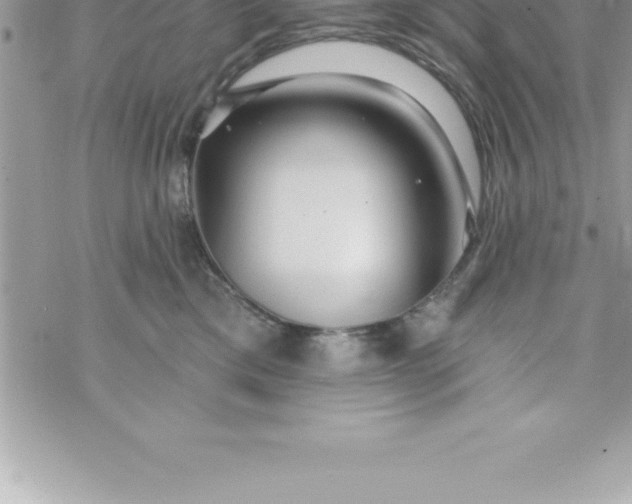 X0000069840425200606021406