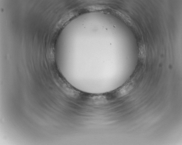 X0000069840426200606021406