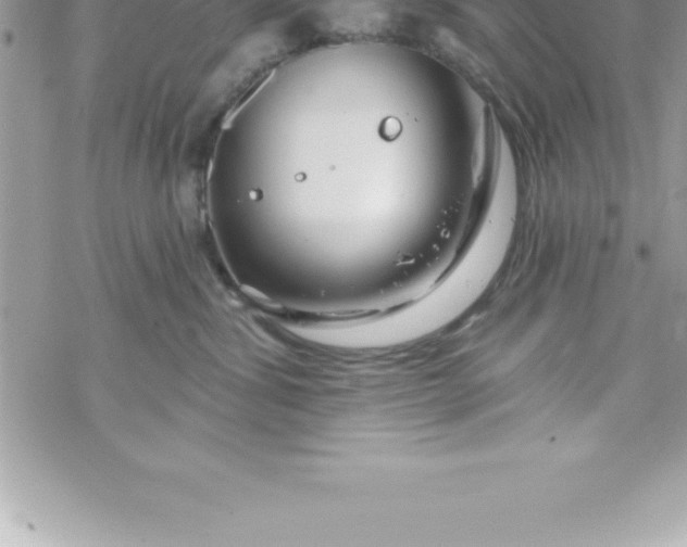 X0000069840428200606021406