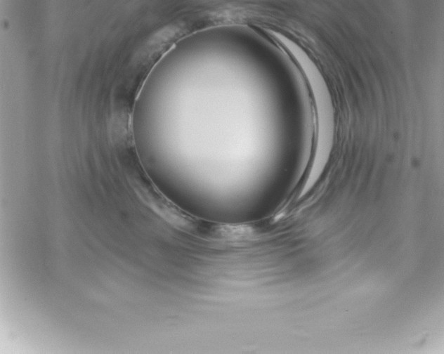 X0000069840429200606021406