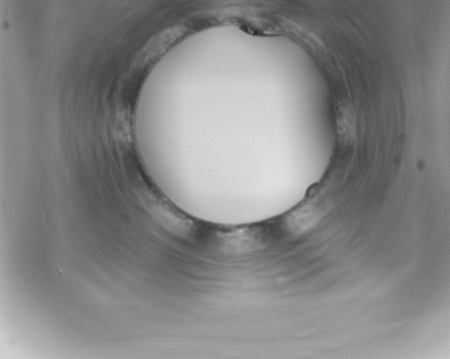 X0000069840430200606021406