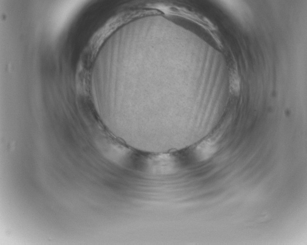 X0000069840431200606021406