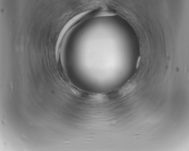 X0000069840432200606021406