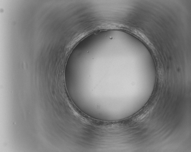 X0000069840433200606021405