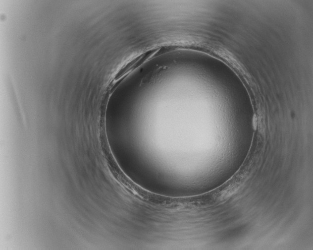 X0000069840434200606021405