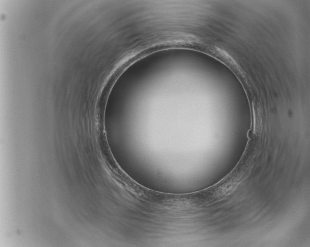 X0000069840435200606021405