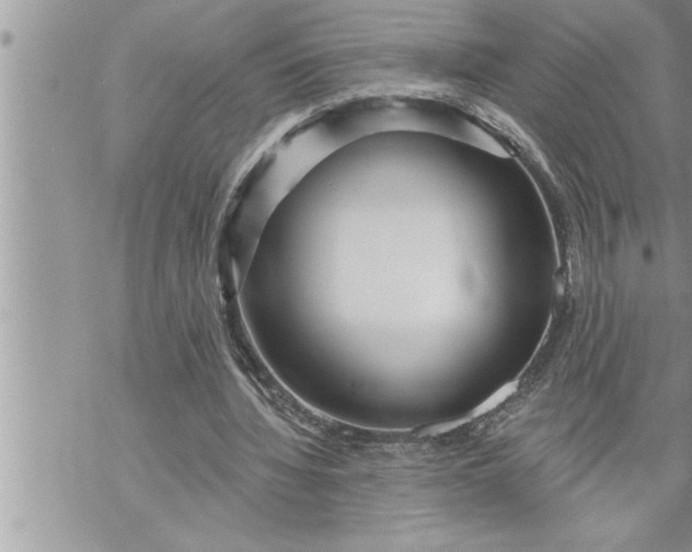 X0000069840436200606021405