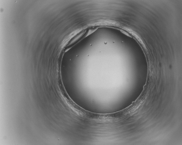 X0000069840437200606021405