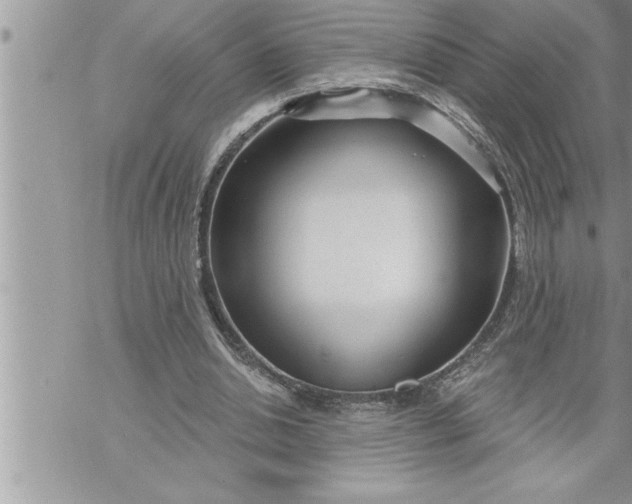 X0000069840438200606021405