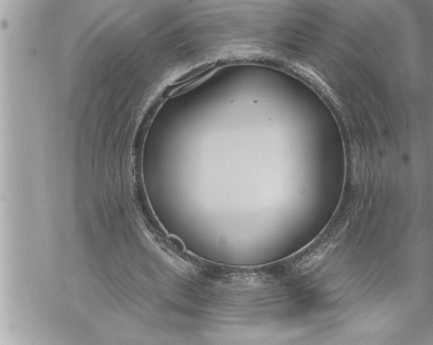 X0000069840439200606021405