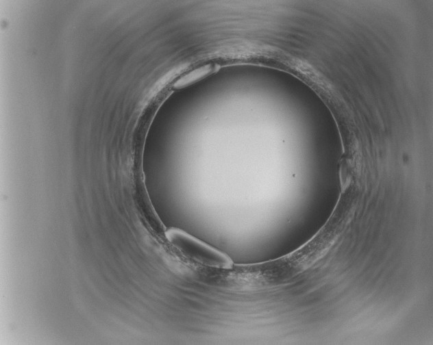 X0000069840440200606021405