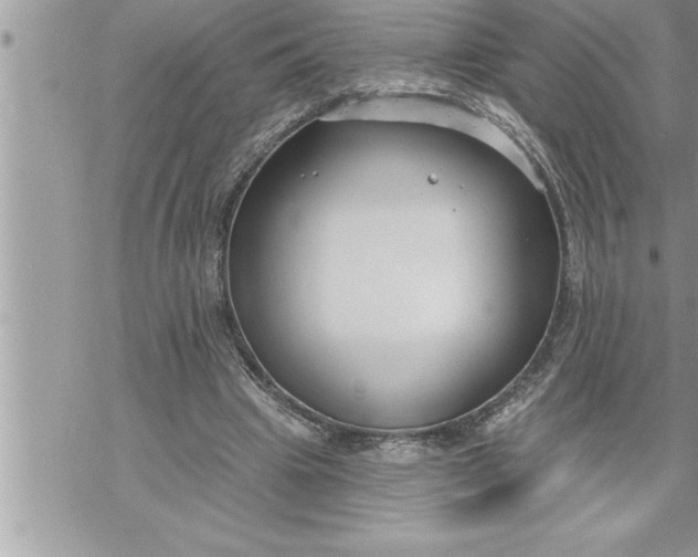 X0000069840441200606021405