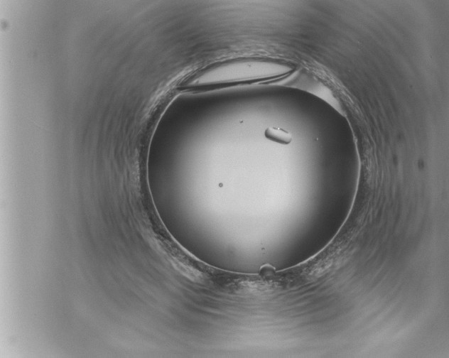 X0000069840442200606021405