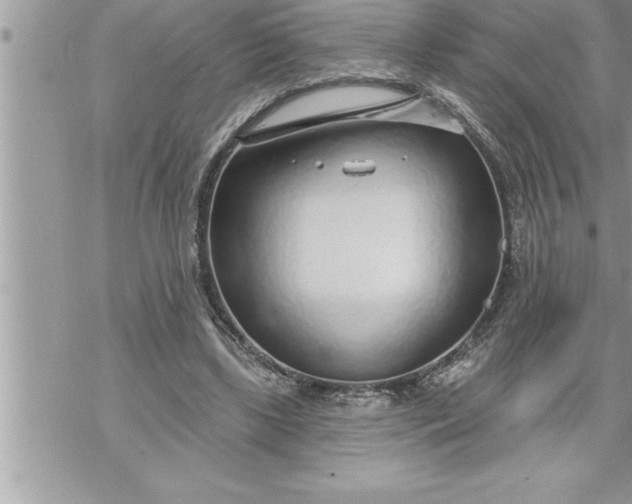 X0000069840443200606021405