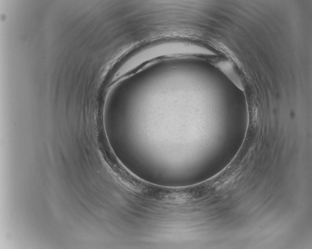 X0000069840444200606021405