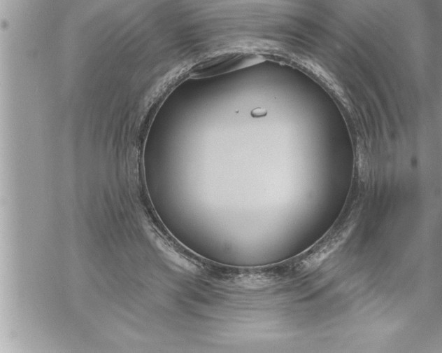 X0000069840445200606021405