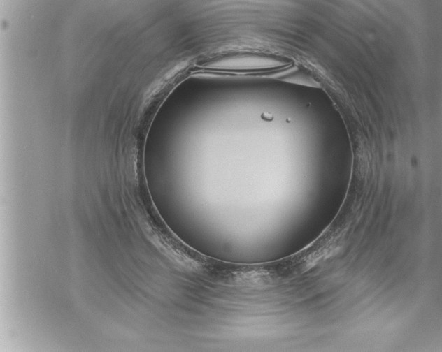 X0000069840446200606021405