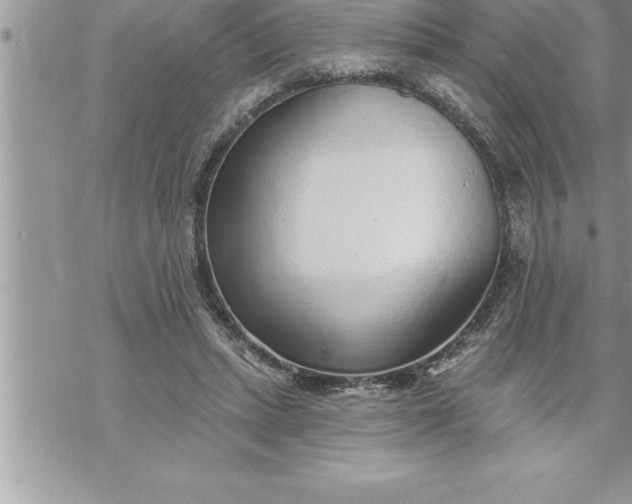 X0000069840447200606021405