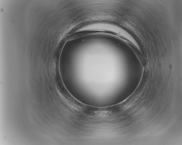 X0000069840448200606021405