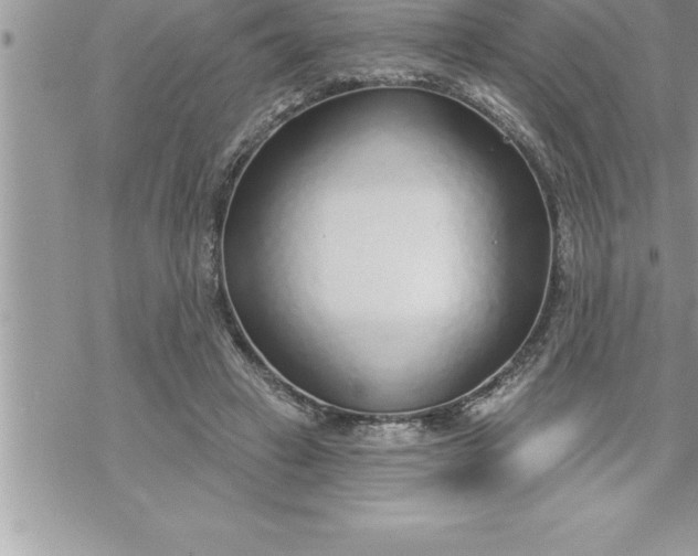 X0000069840449200606021405