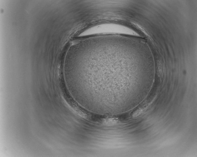 X0000069840451200606021405