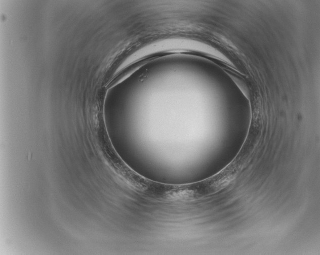 X0000069840452200606021406