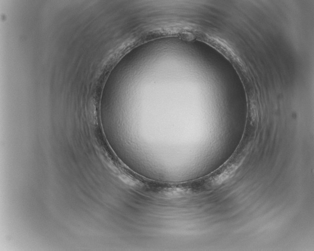 X0000069840453200606021406