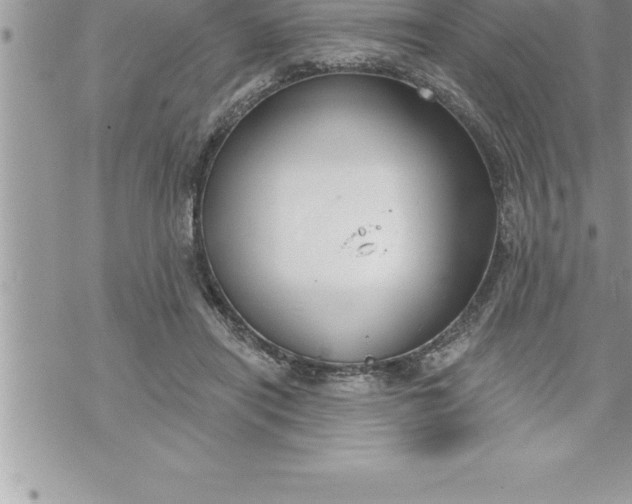 X0000069840454200606021406