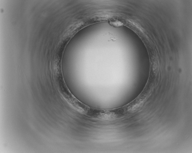 X0000069840455200606021406