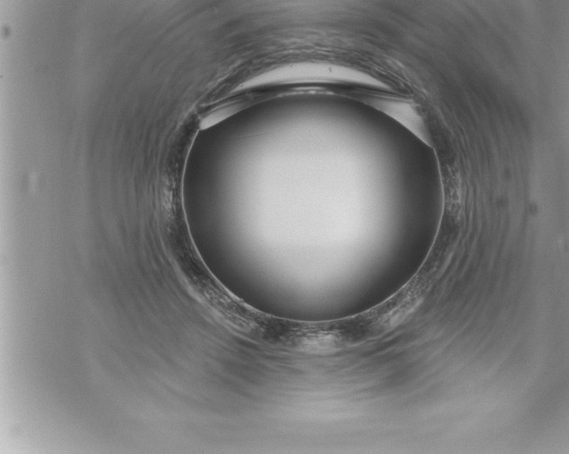 X0000069840456200606021406