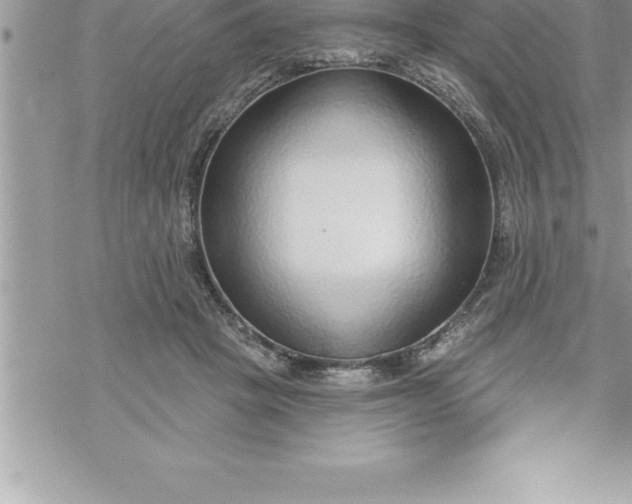 X0000069840457200606021406