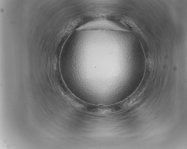 X0000069840458200606021406