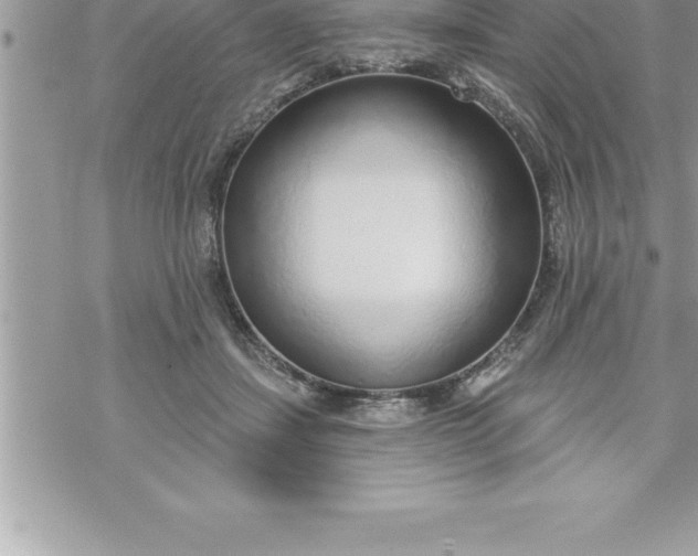 X0000069840459200606021406