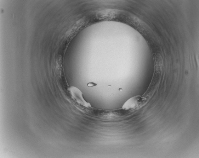 X0000069840460200606021406