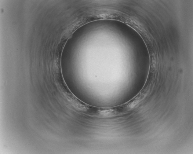 X0000069840461200606021406