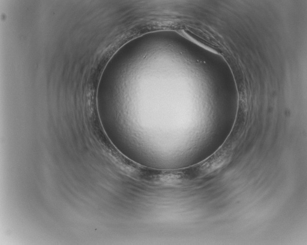 X0000069840462200606021406