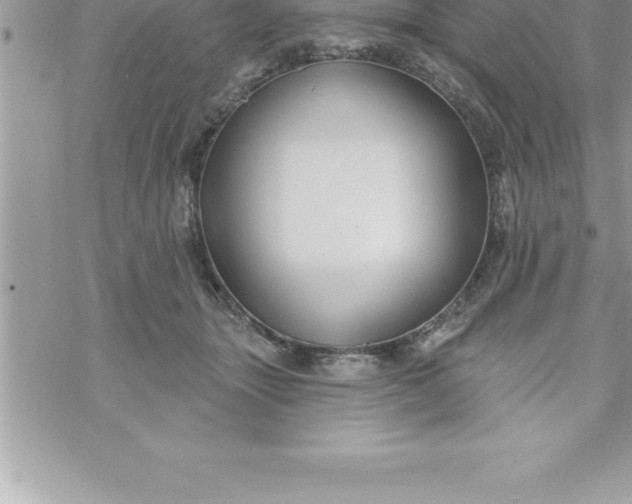 X0000069840463200606021406