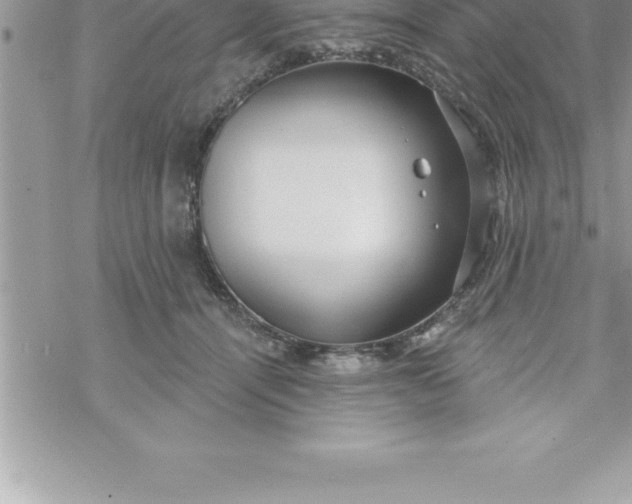 X0000069840464200606021406