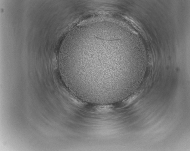 X0000069840465200606021406