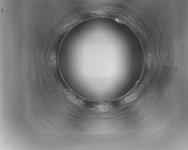 X0000069840466200606021406