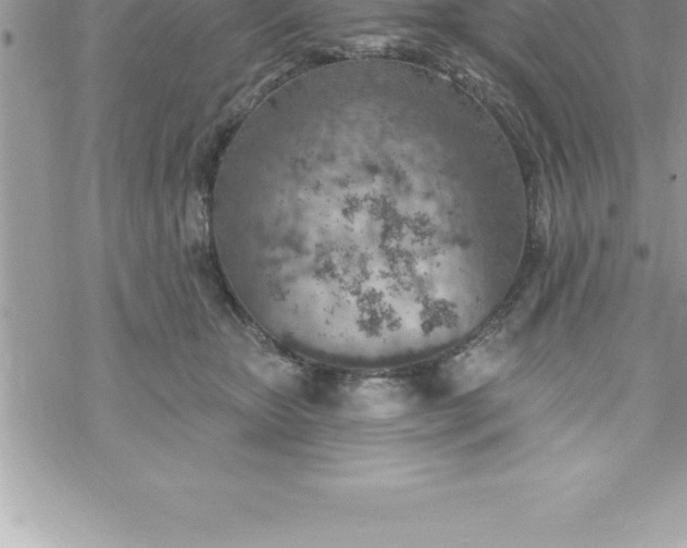 X0000069840467200606021406