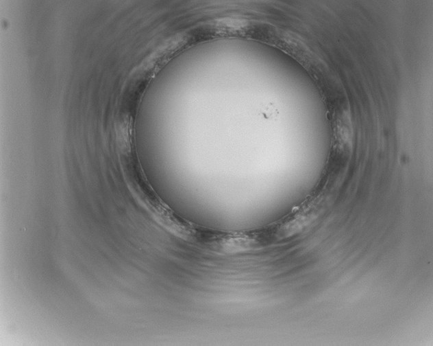 X0000069840468200606021406