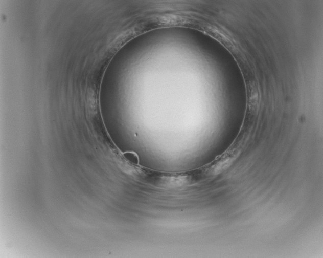 X0000069840469200606021406