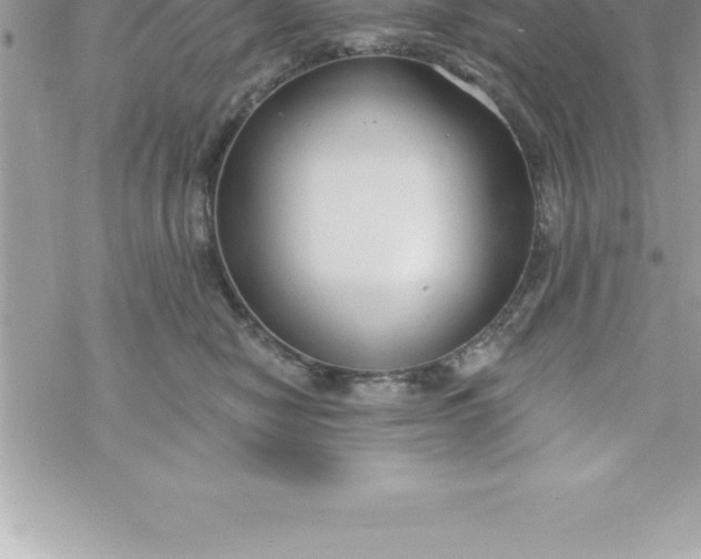 X0000069840470200606021406