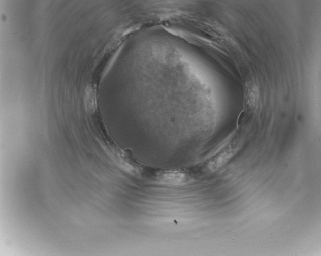 X0000069840471200606021406