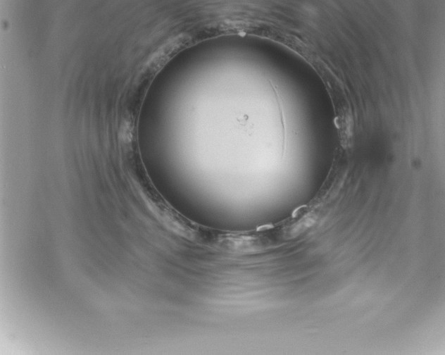 X0000069840472200606021406