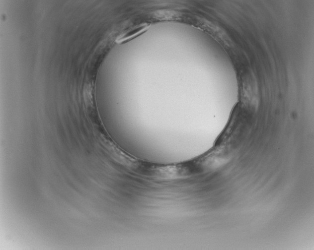 X0000069840473200606021406