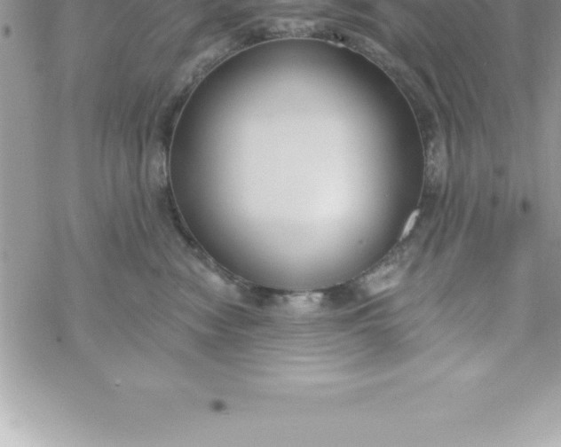 X0000069840474200606021406