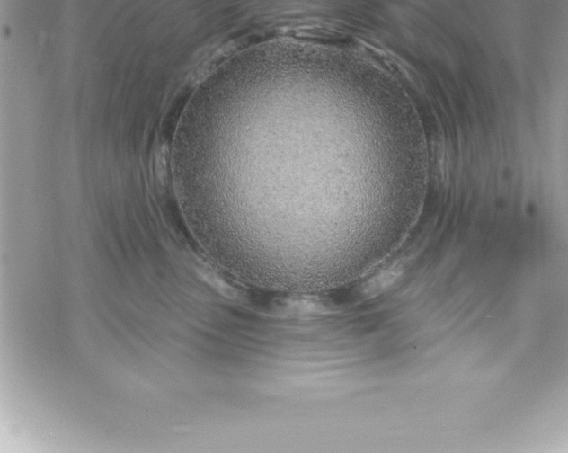 X0000069840475200606021406