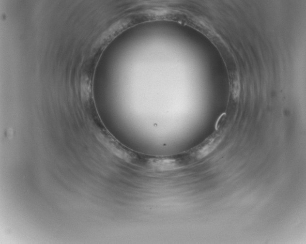 X0000069840476200606021406